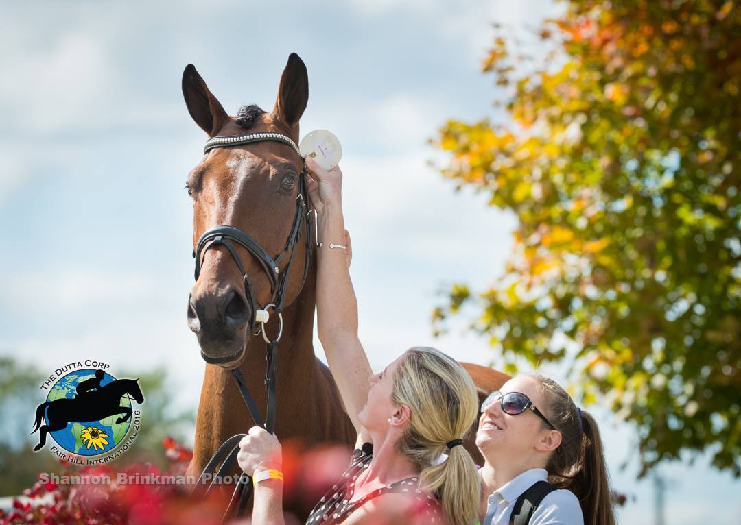 Competition horses